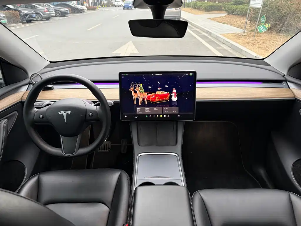 TESLA MODEL Y