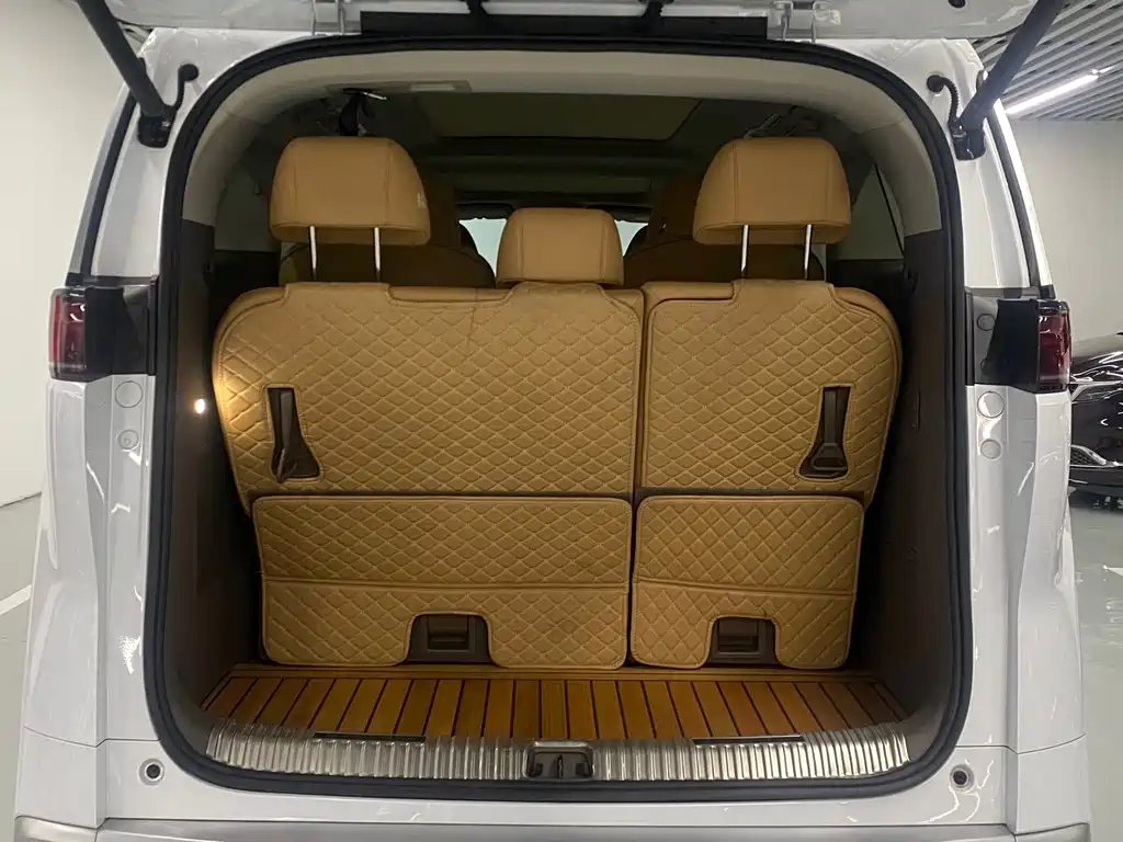 Denza Denza D9 — миниатюра 16