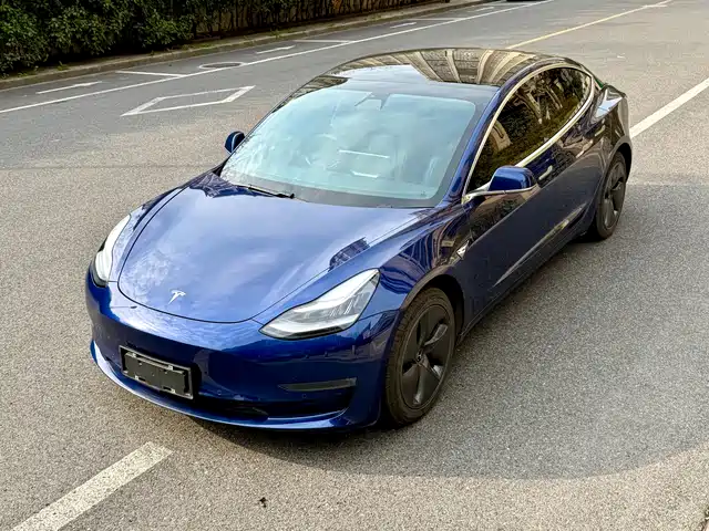 TESLA MODEL 3 2020