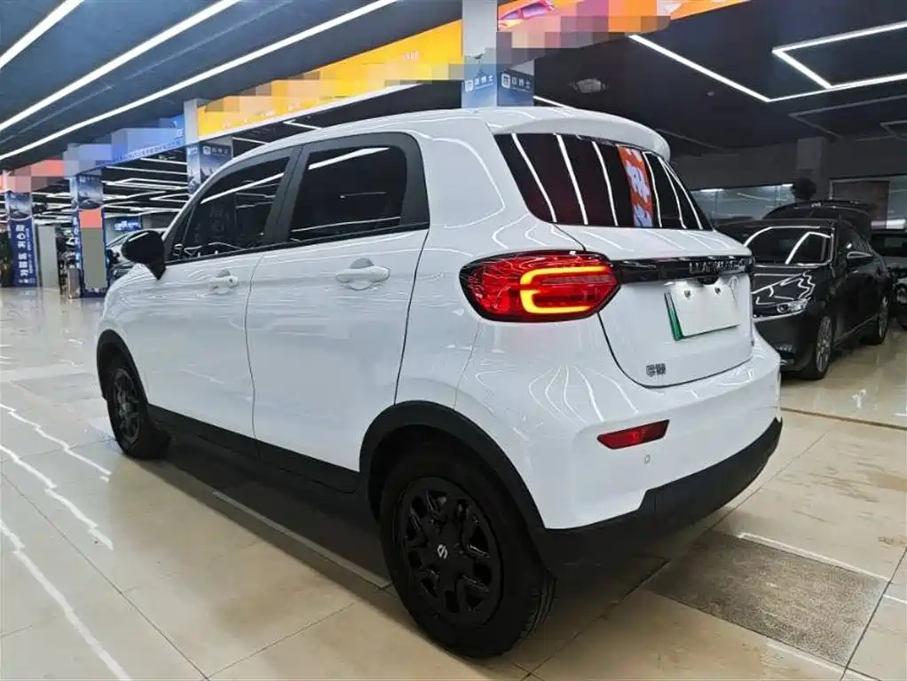 Leapmotor T03 2025 310