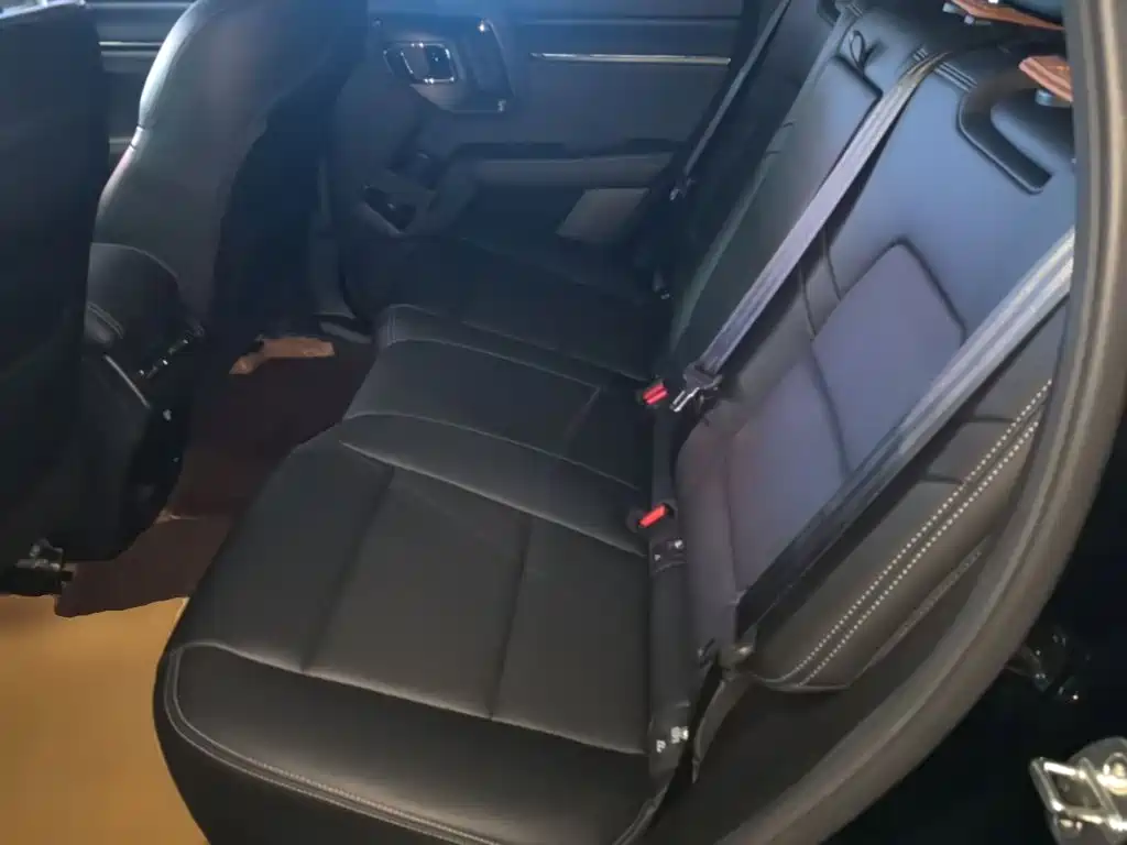 Haval Big Dog PLUS — миниатюра 17