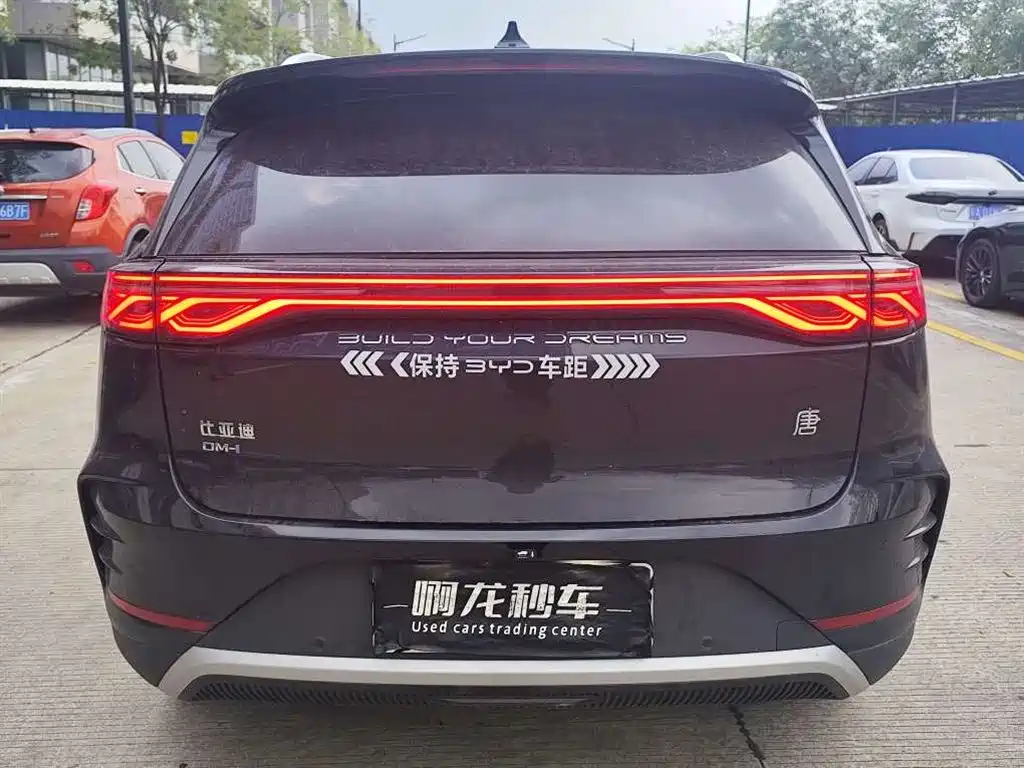 BYD Tang New Energy — миниатюра 8