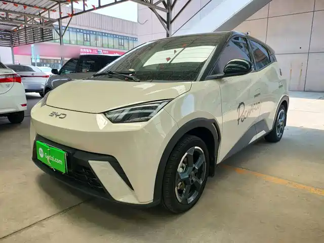 2024 BYD Seagull