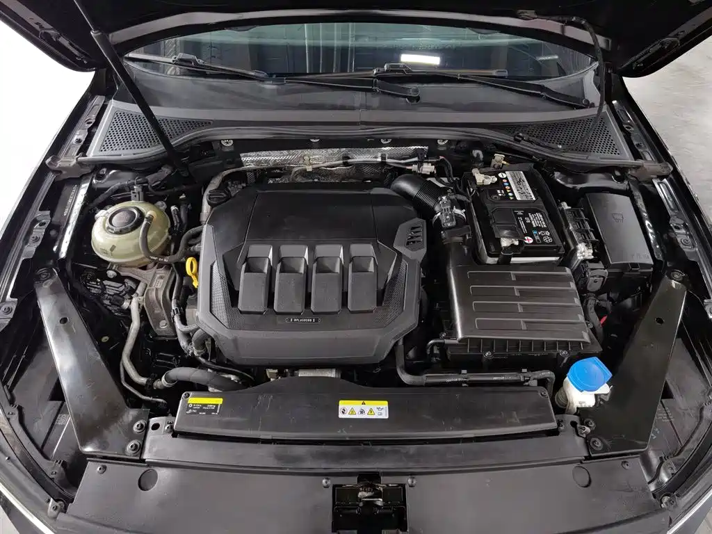 Volkswagen Magotan 2020 330TSI DSG Lead