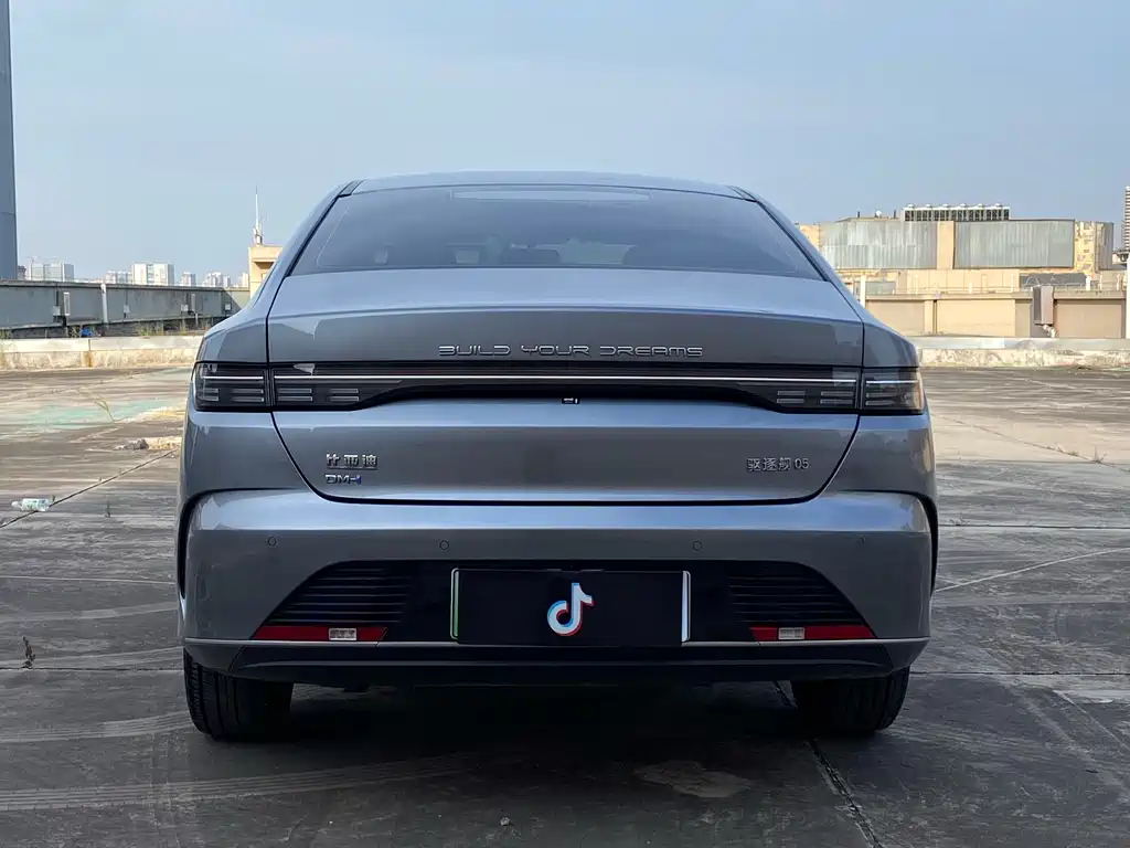 BYD Destroyer 05 2023 Champion DM-i 55KM Luxury