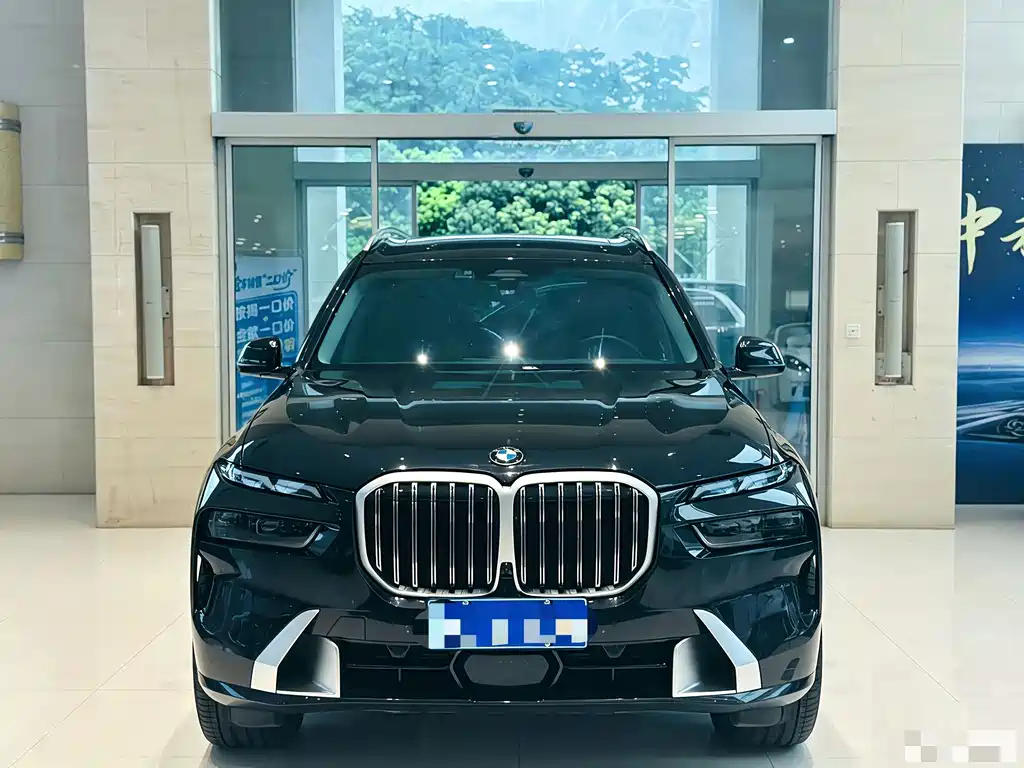 BMW X7 — миниатюра 2