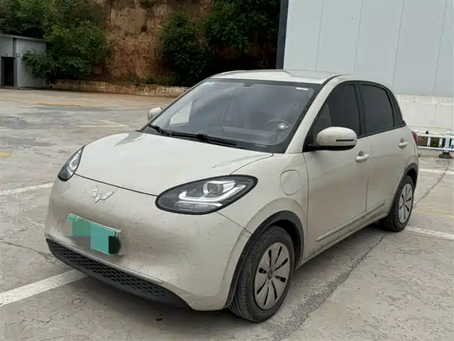 2023 Wuling Motors Binguo