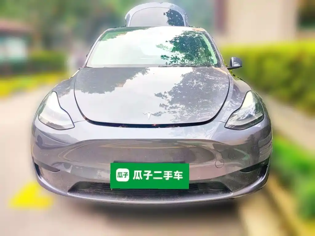 Tesla Model Y — миниатюра 2