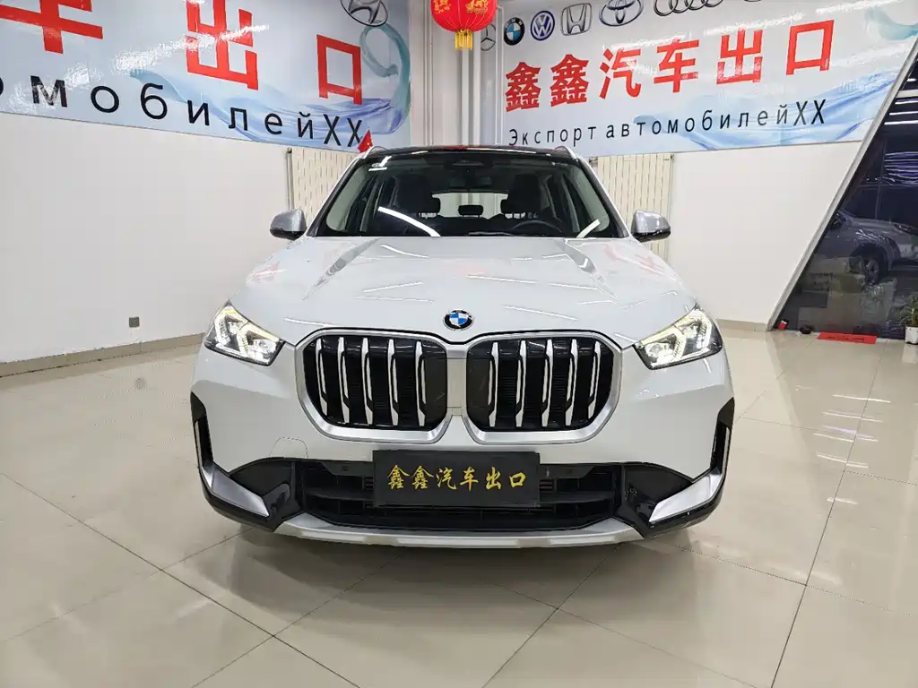 BMW X1 — миниатюра 2