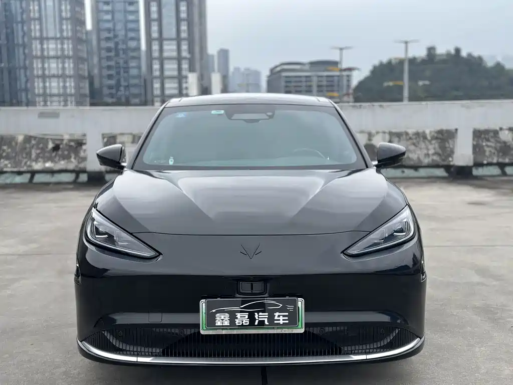 ARCFOX EXTREME FOX POLAR FOX ALPHA S