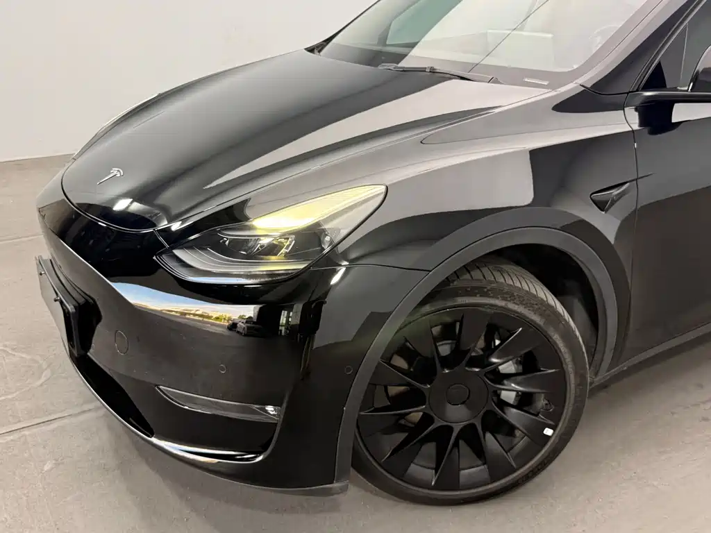 Tesla Model Y — миниатюра 11