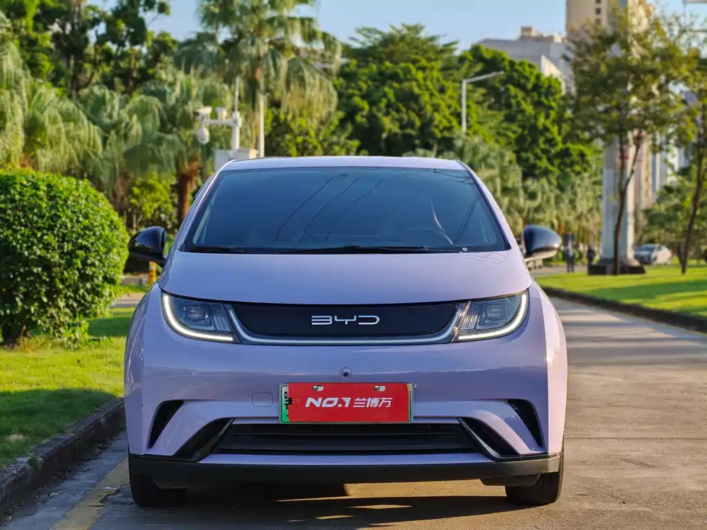 BYD Dolphin — миниатюра 3