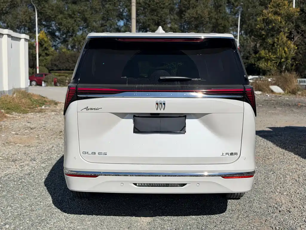 Buick GL8 — миниатюра 18