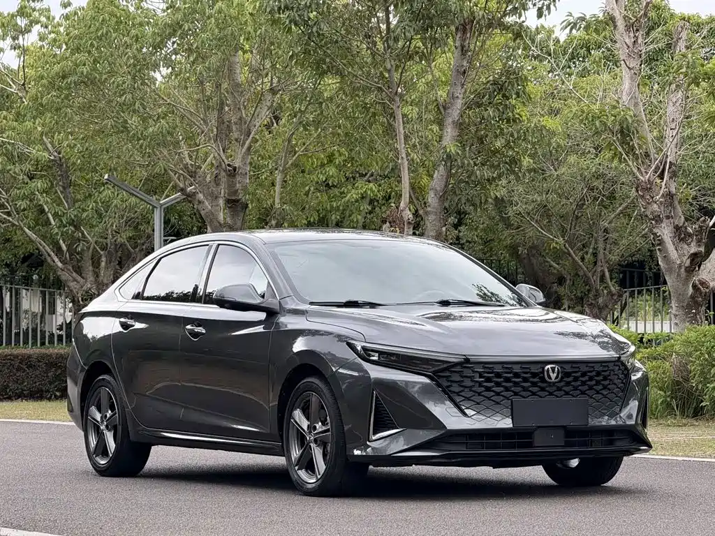 Changan Ruicheng PLUS — миниатюра 3
