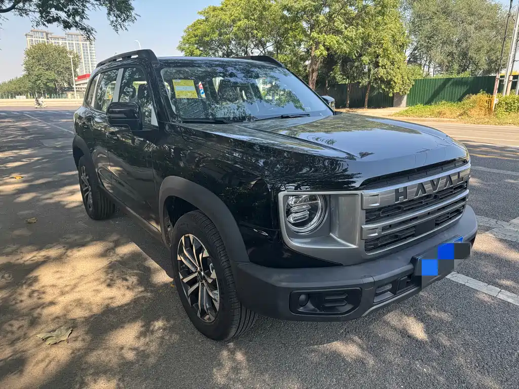 Haval 长城大狗 — миниатюра 3