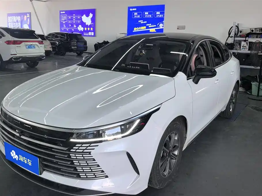 BYD Destroyer 05 2024 DM-i 55KM Luxury
