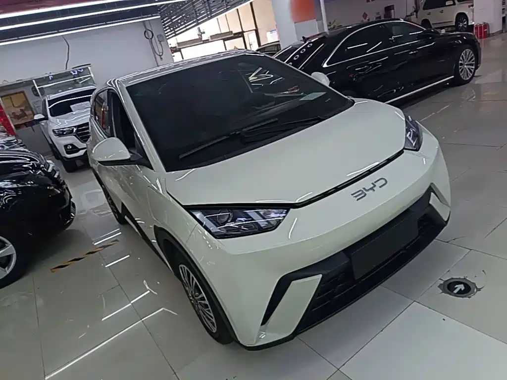 BYD Seagull 2024 305km Freedom