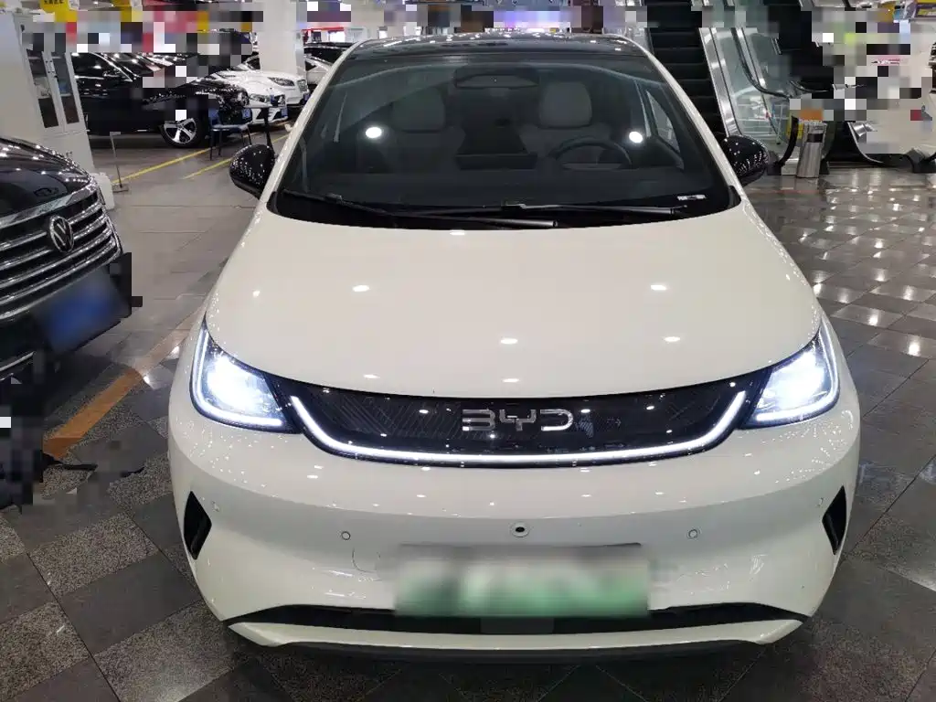 BYD Dolphin — миниатюра 3