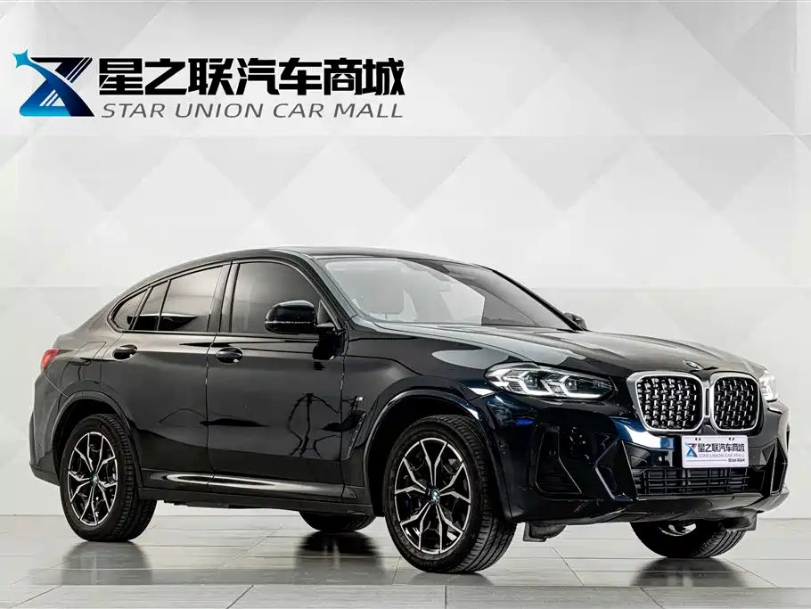 BMW X4 — миниатюра 5