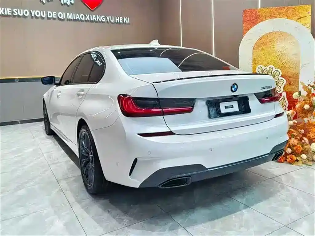 BMW 3 Series 3 2020 325Li