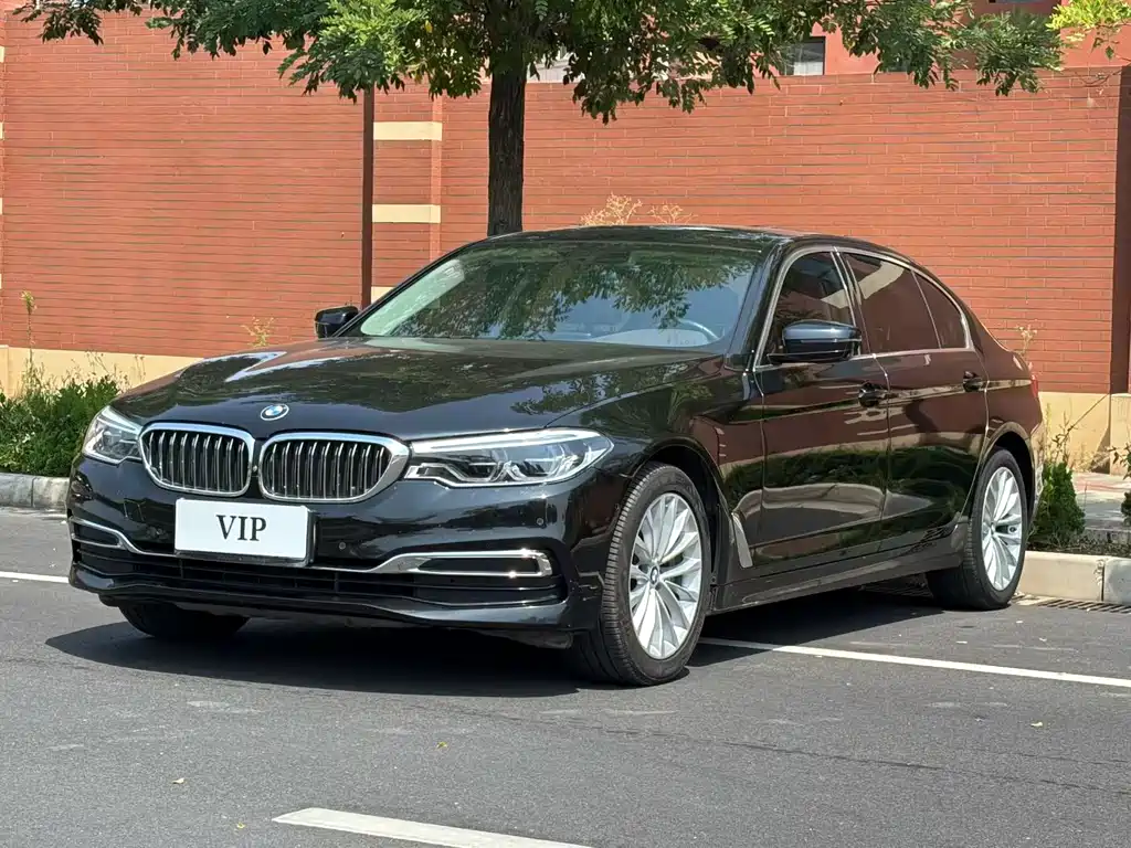 BMW 5 Series 2020 530Li Premium Type Luxury Package