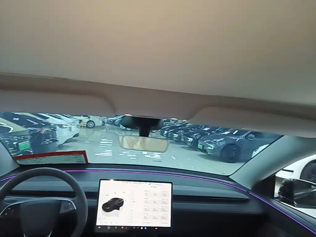 Tesla Model Y — миниатюра 18