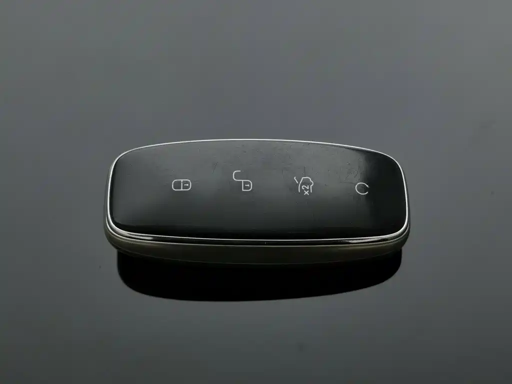 Denza Denza D9 — миниатюра 19