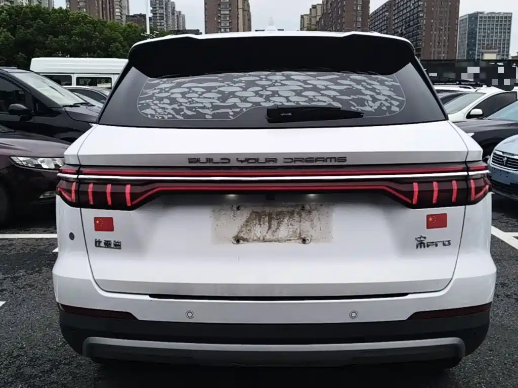 BYD Pro — миниатюра 6