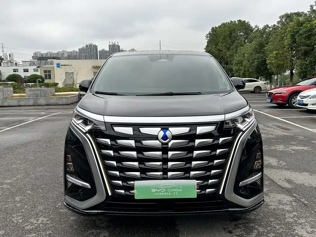 Denza Denza D9 — миниатюра 2