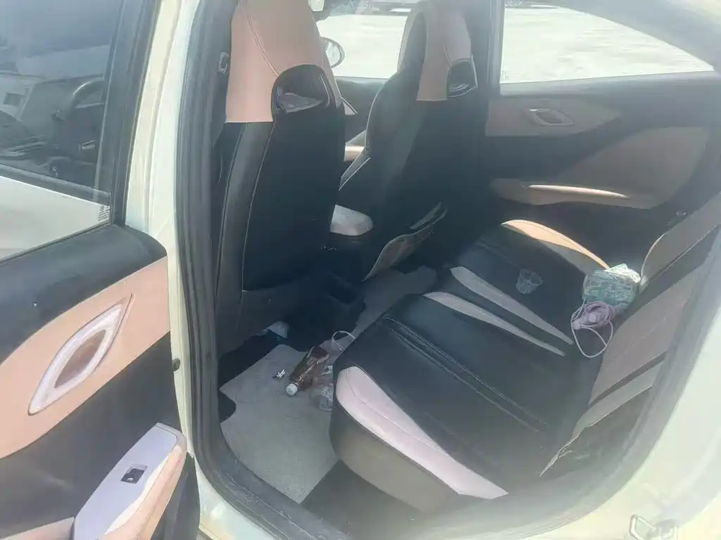 BYD Seagull 2024 405km Flying
