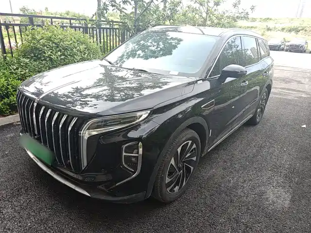 2024 Hongqi HS7
