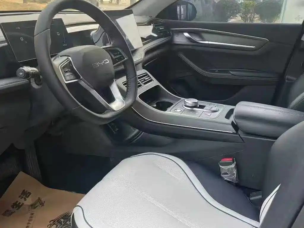 BYD Destroyer 05 2024 DM-i 55KM Luxury