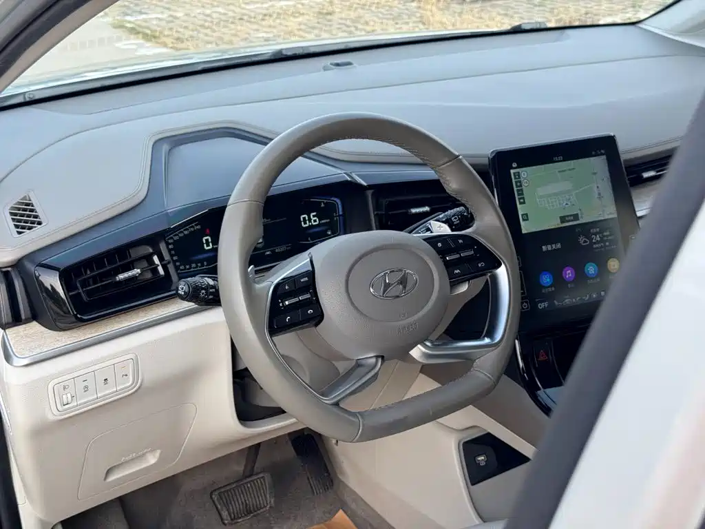 Hyundai Custo — миниатюра 25