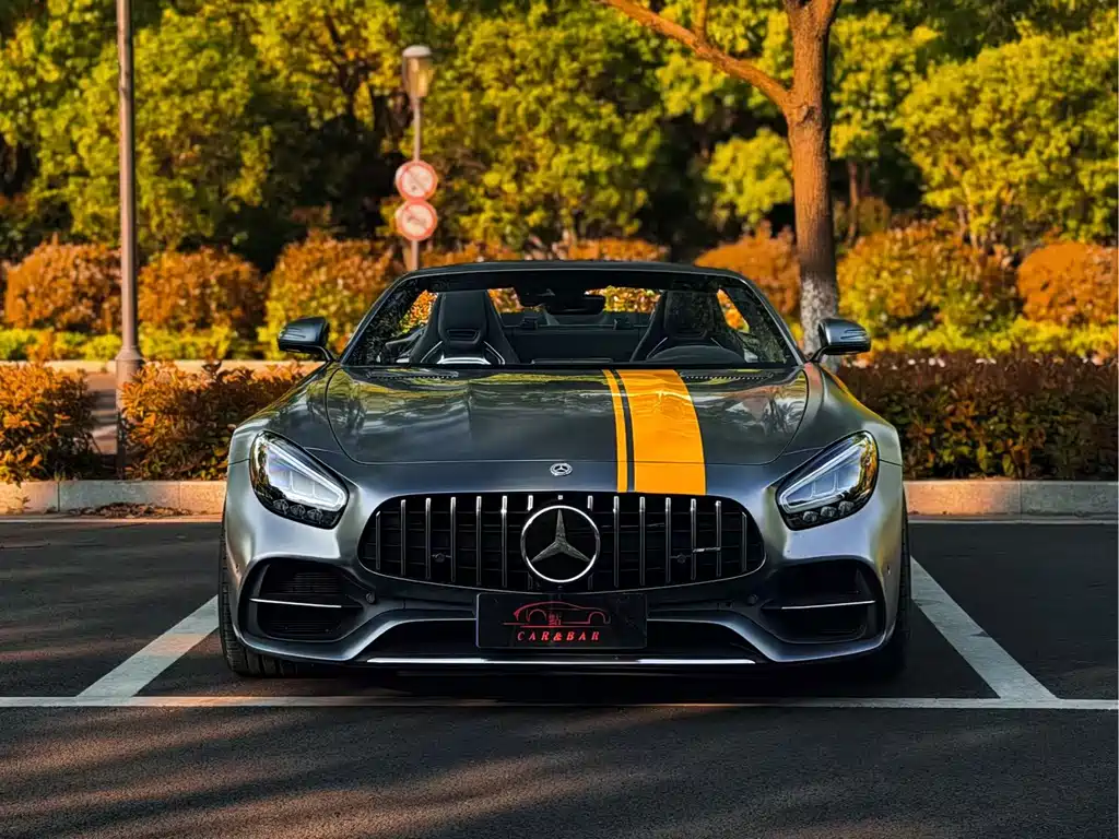 Mercedes-Benz A MG GT 2019 AMG GT C