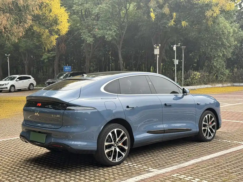 IM IM LS6 — миниатюра 19