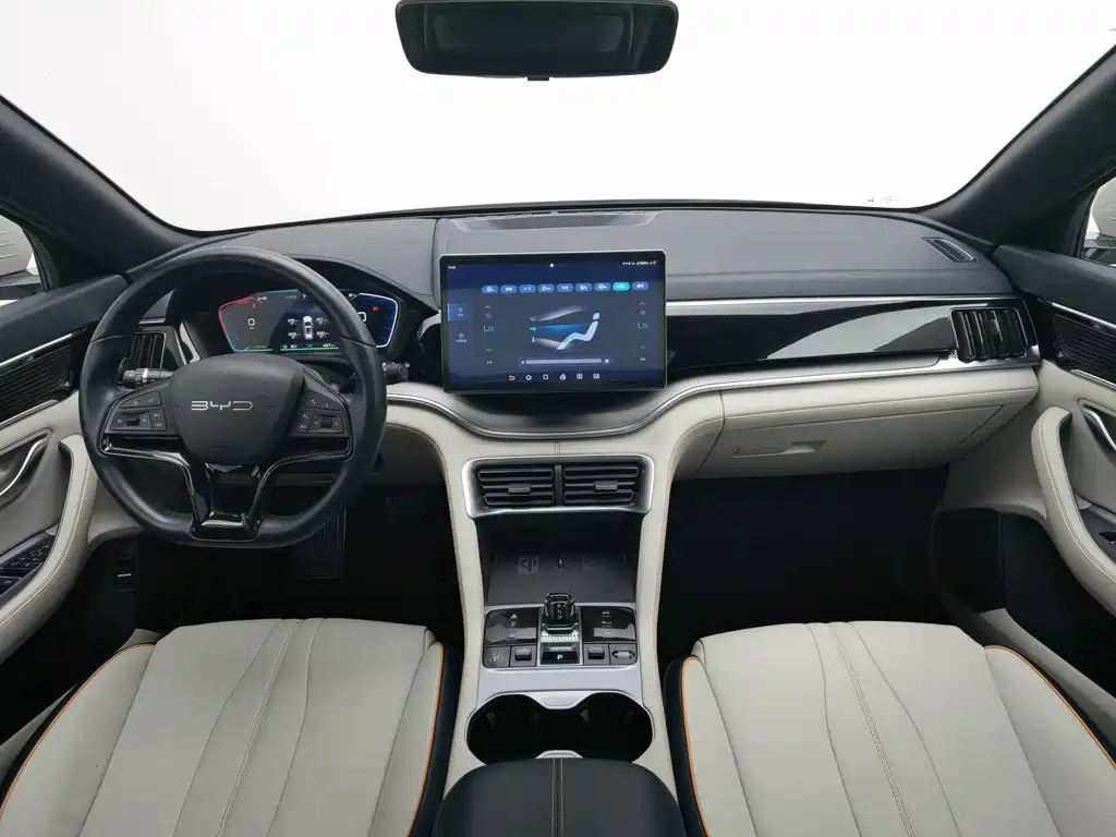 BYD PLUS New Energy — миниатюра 5