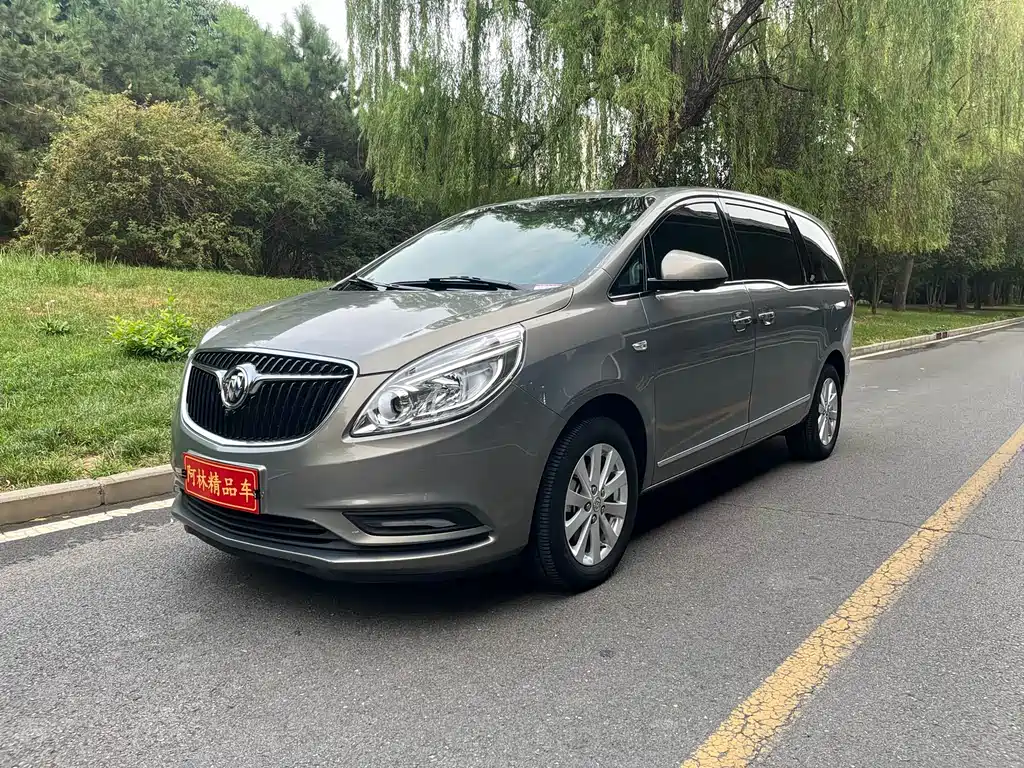 Buick GL8 2018 28T Luxury VI