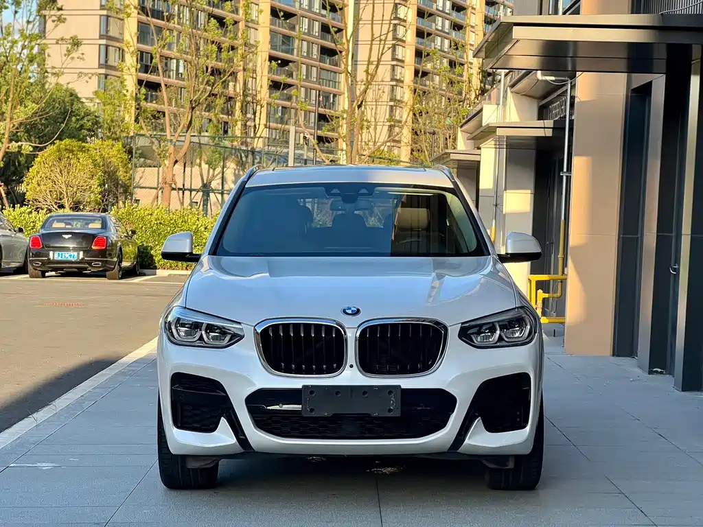 BMW X3 — миниатюра 2