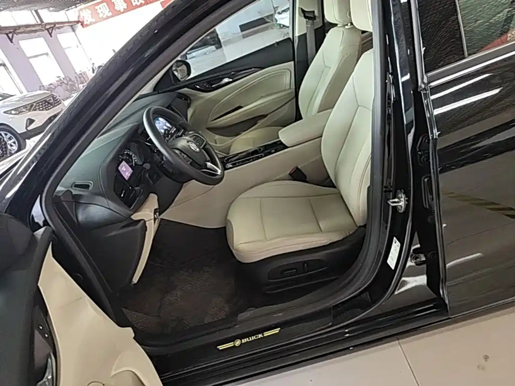 Buick Regal — миниатюра 15