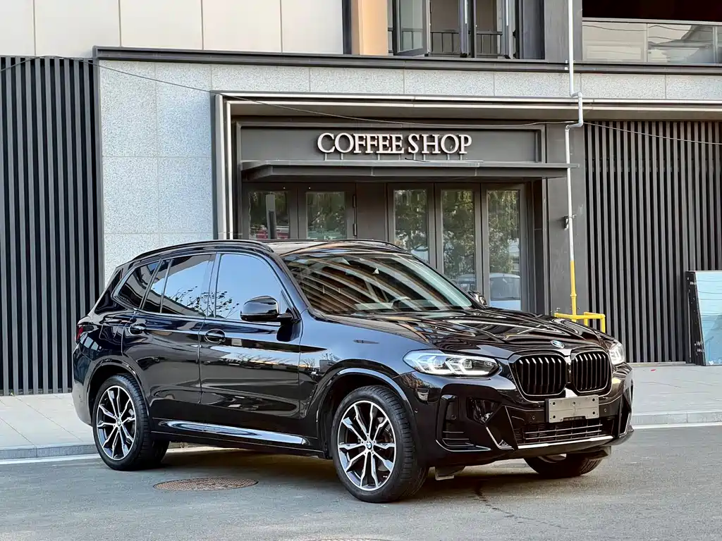 BMW X3 — миниатюра 3