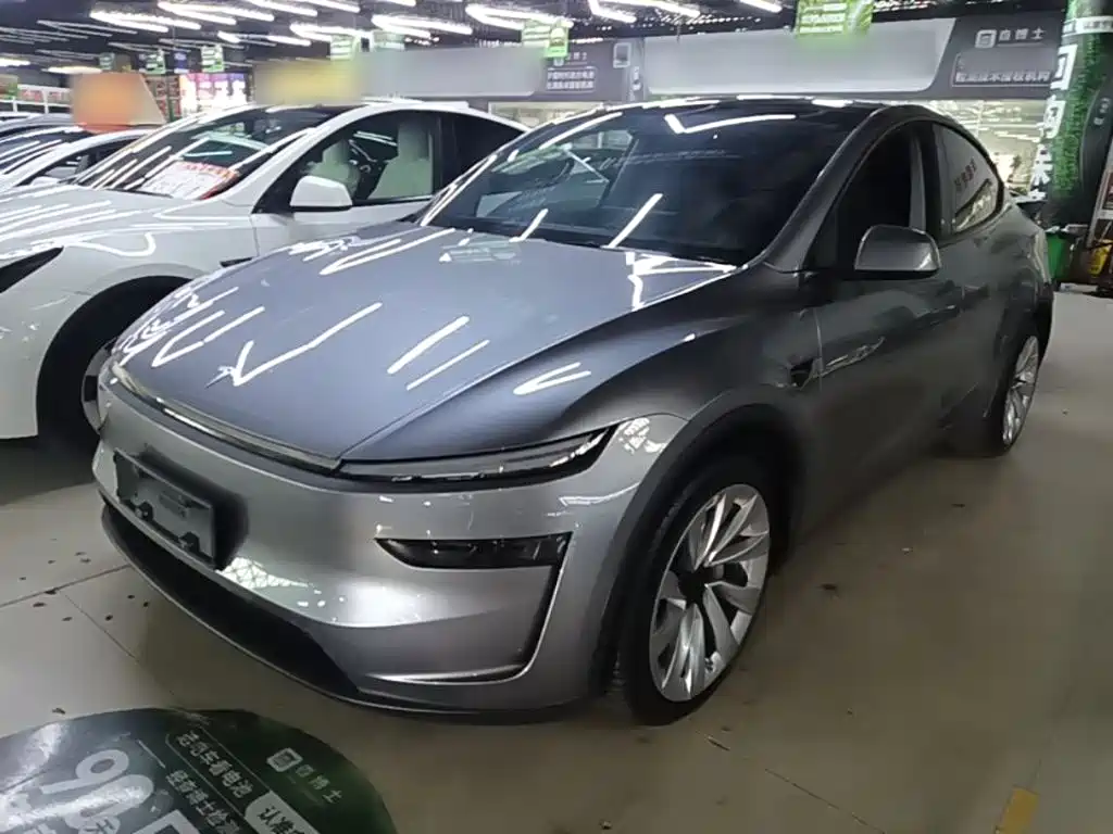 Tesla Model Y — миниатюра 2