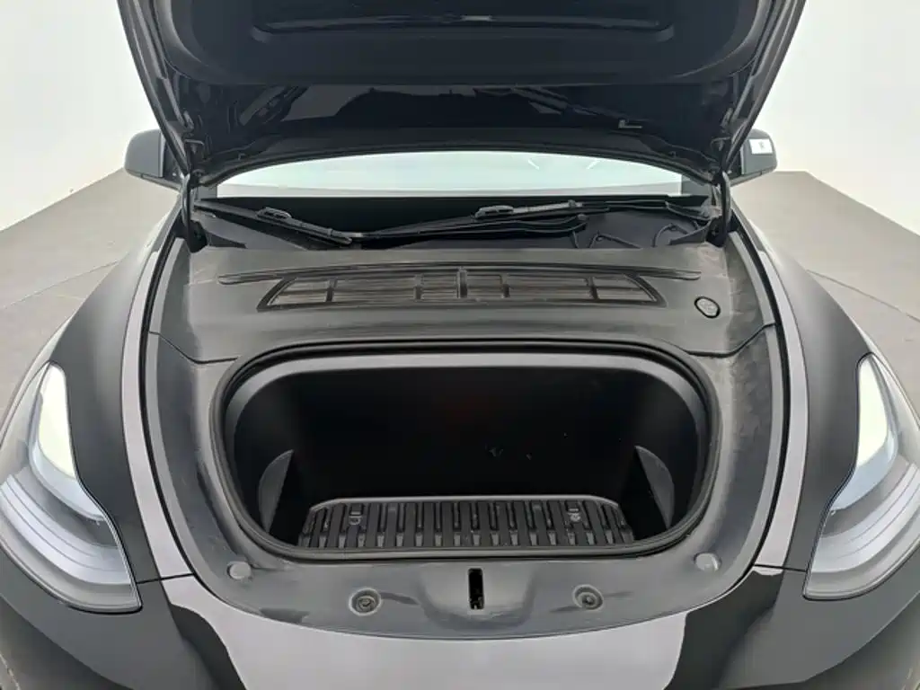 Tesla Model Y — миниатюра 11