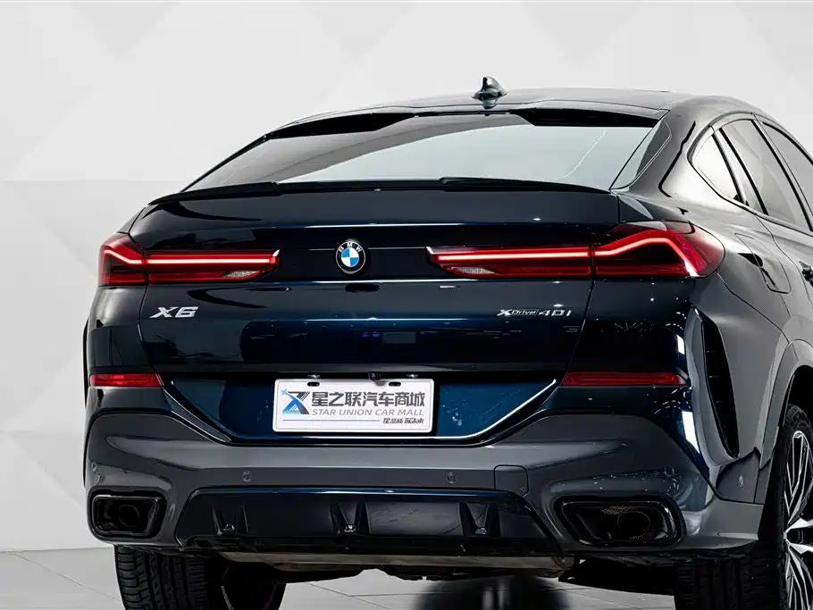 BMW X6 — миниатюра 7