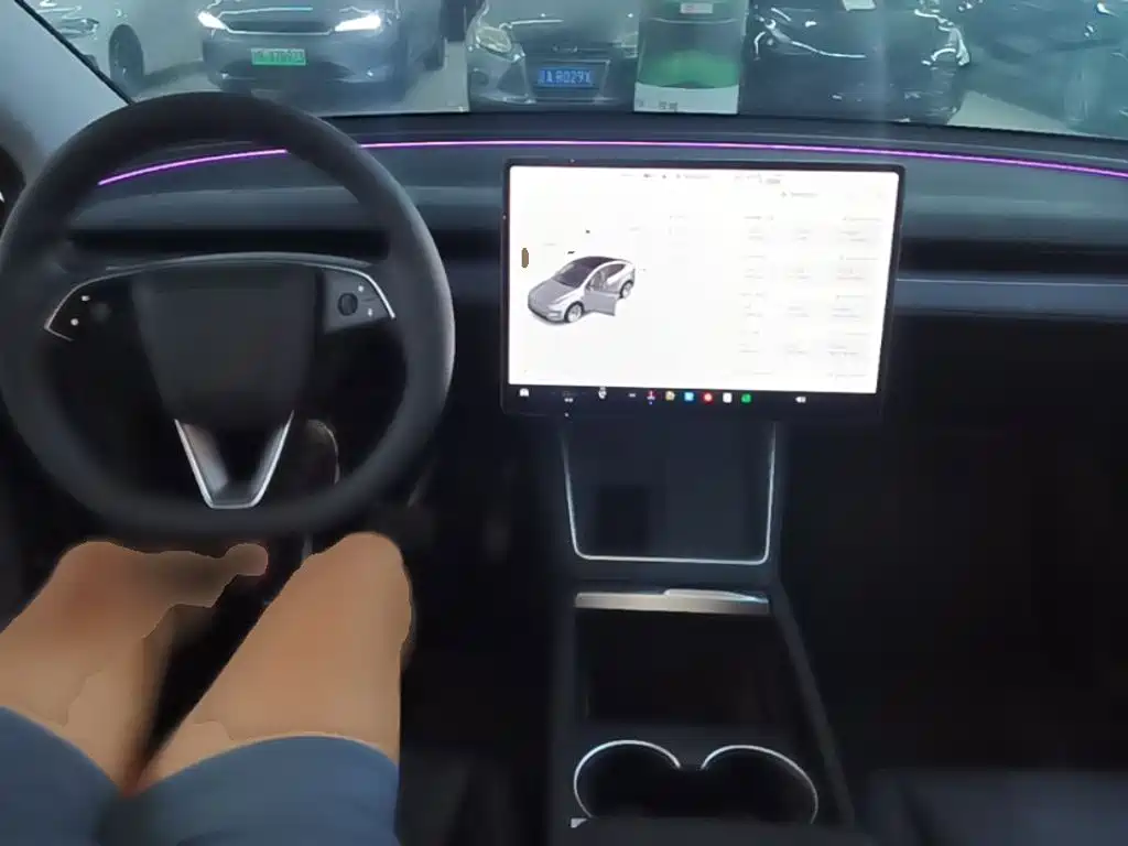 Tesla Model Y — миниатюра 10