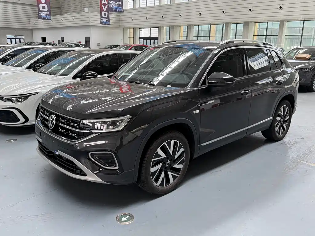 VOLKSWAGEN TANYUE