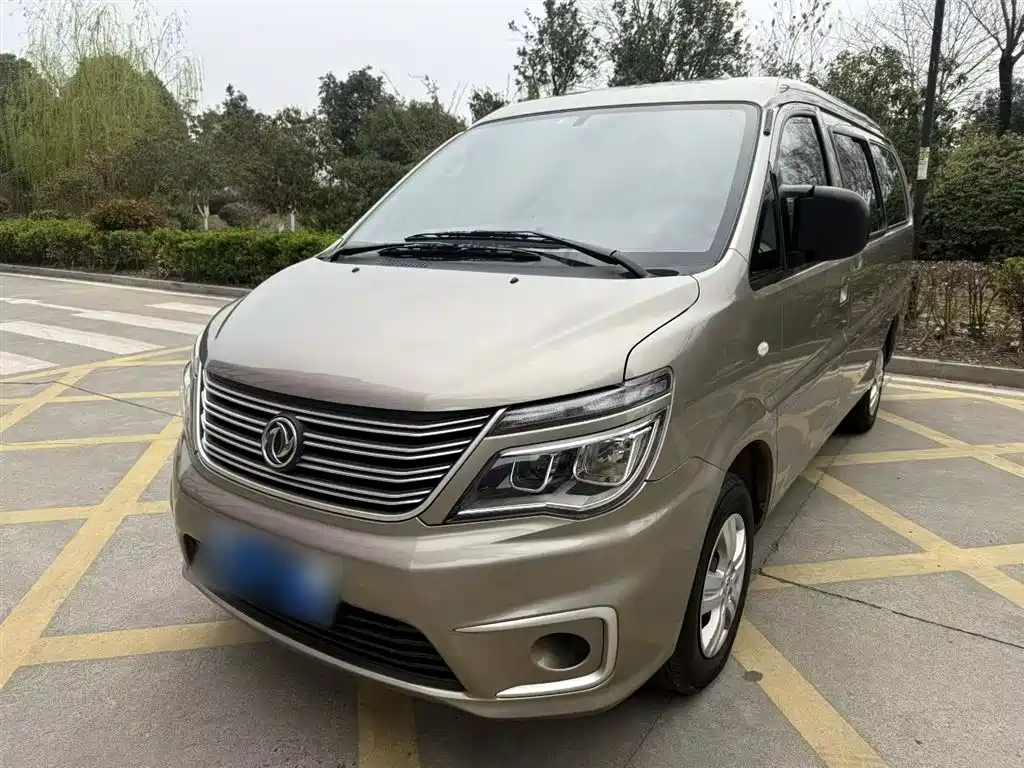 Fengxing Lingzhi 2020