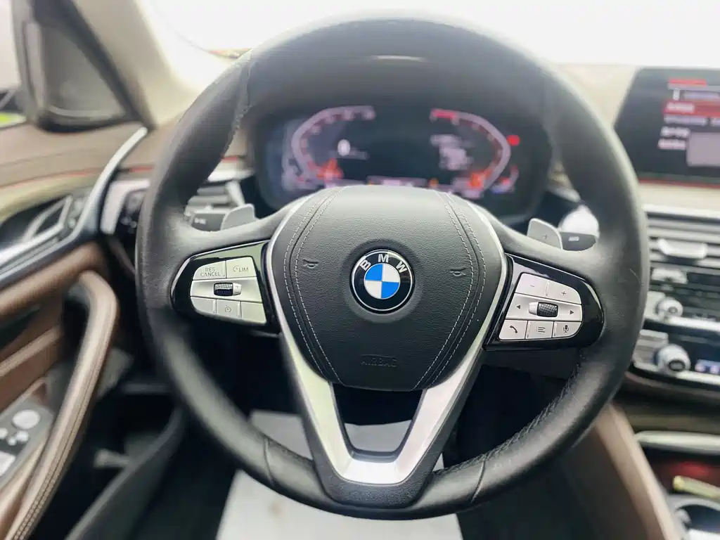BMW 5 Series 5 2020 530Li Premium Luxury