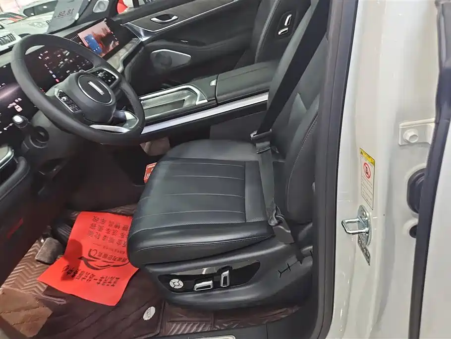 WEI PAI WEI BRAND BLUE MOUNTAIN