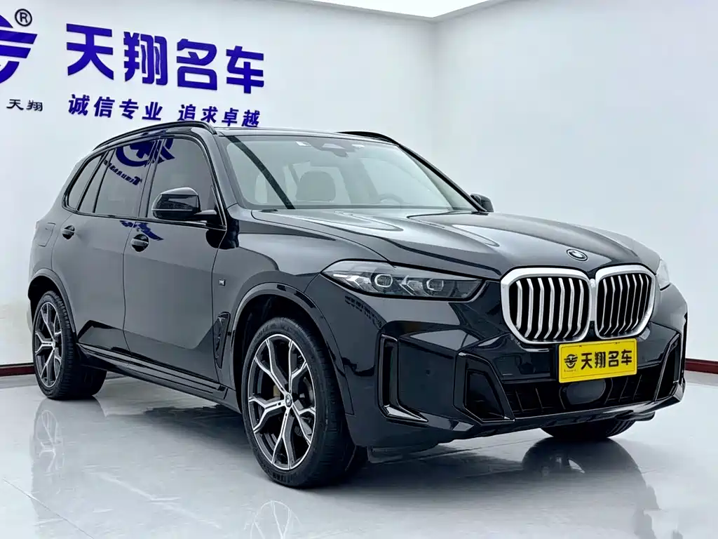 BMW X5 — миниатюра 4