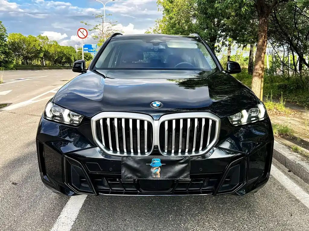 BMW X5 — миниатюра 2